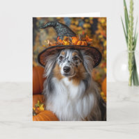 Berger des Shetland Blue Merle Halloween
