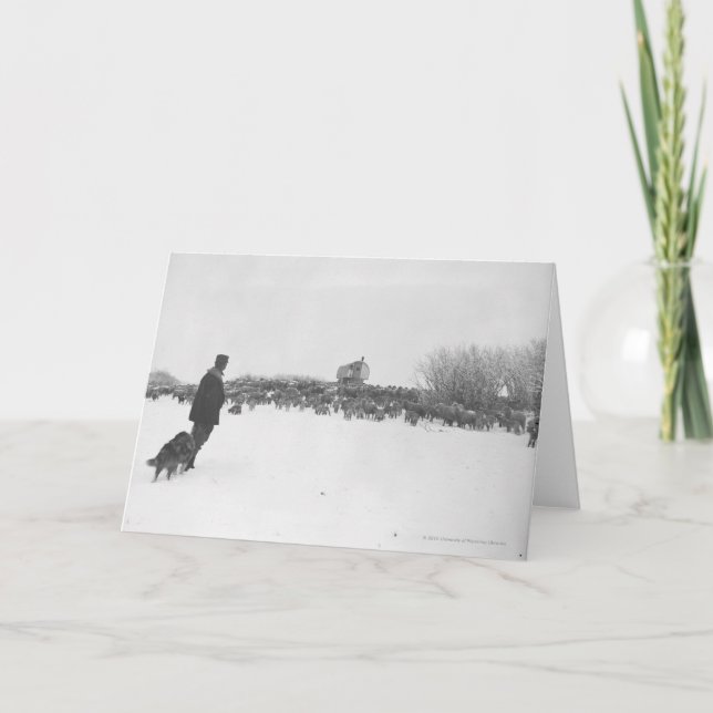 Carte Berger et chien au camp des moutons (Devant)