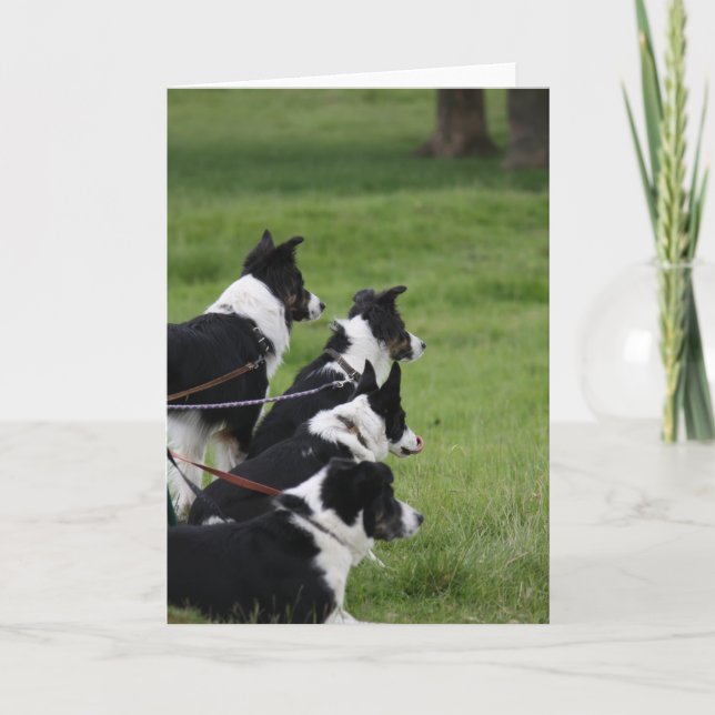 Carte BergersAllemands (Devant)