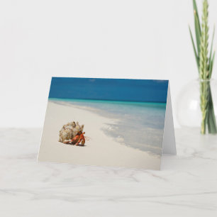 Carte Bernard l'ermite de fraise   Coenobita Perlatus