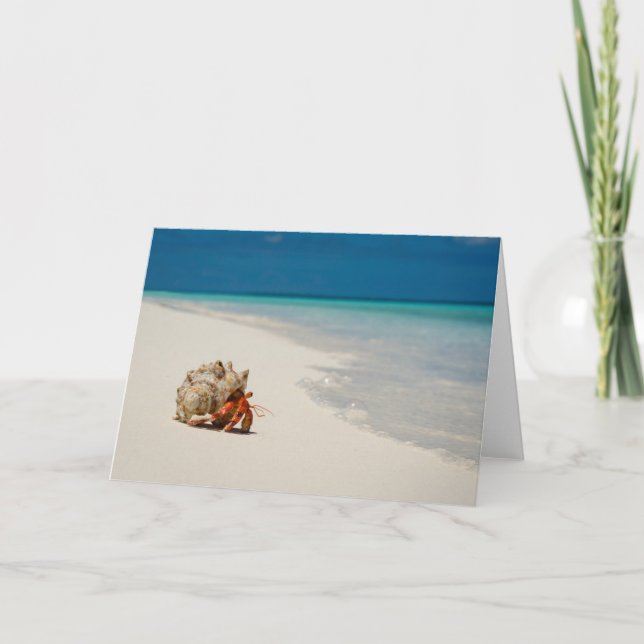 Carte Bernard l'ermite de fraise | Coenobita Perlatus (Devant)