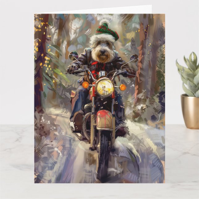 Carte Bernedoodle Chien équitation Moto Noël (Petite plante)