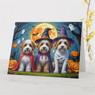 Carte Bernedoodle Chiens Citrouille Halloween Funny