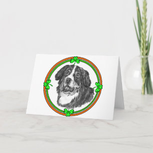 Carte Bernese Mtn Chien St patrick
