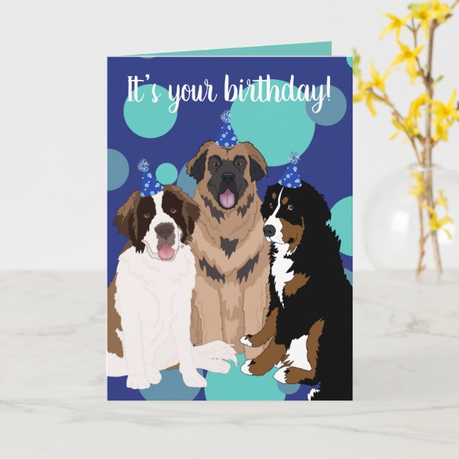 Carte Bernese, Saint Bernard, Leonberger Anniversaire (Fleur jaune)