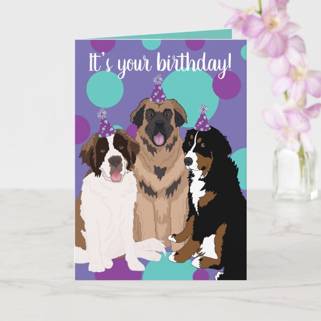 Carte Bernese, Saint Bernard, Leonberger Anniversaire (Orchidée)