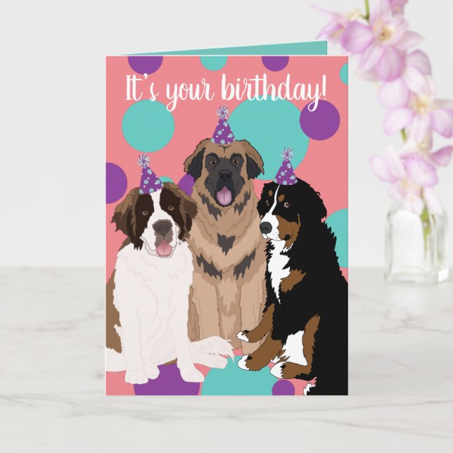 Carte Bernese, Saint Bernard, Leonberger Anniversaire (Orchidée)