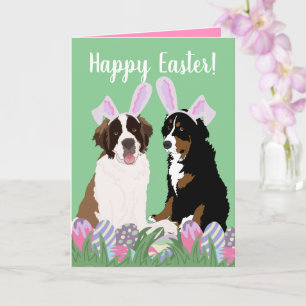 Carte Bernois sur mesure Saint Bernard Pâques