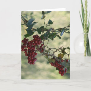 Carte Berry