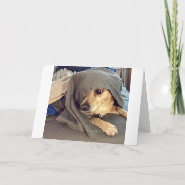 Carte BEST AMI de l'abri animal est un salut (Devant)