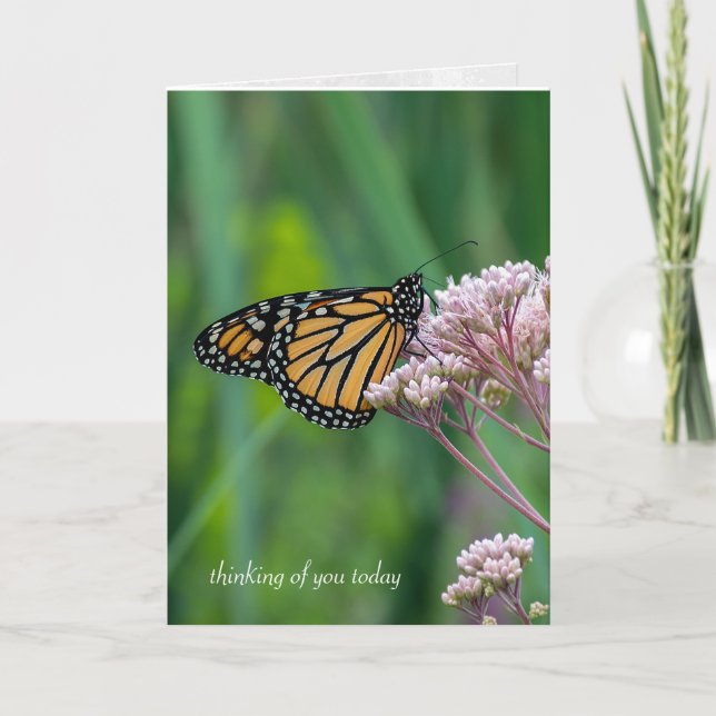 Carte beurre de monarque sur le milkweed (Devant)