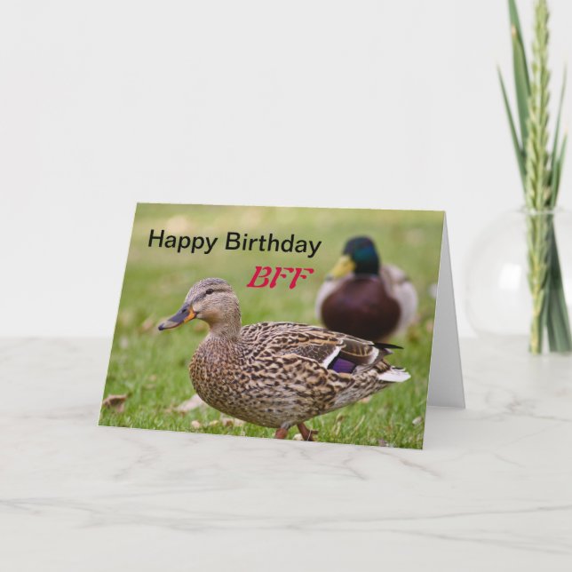 Carte BFF d'anniversaire heureuse pour les canards (Devant)