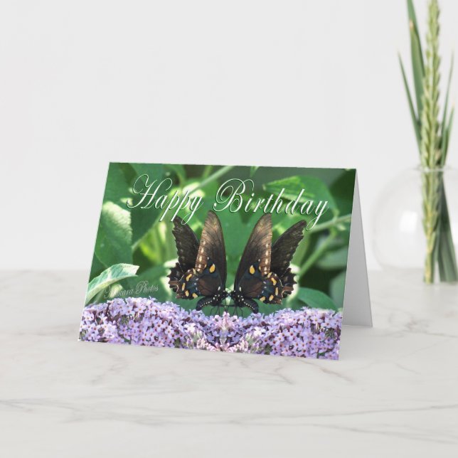 Carte BflyKissesHBDcard (Devant)