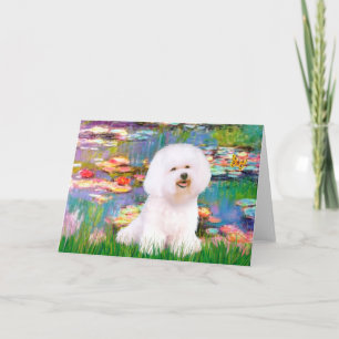 Carte Bichon Frise 1 - Lys 2