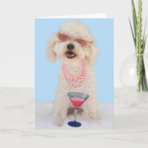 Carte Bichon Frise Birthday Card by Focus for a cause
