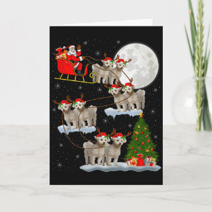 Carte Bichon Frise Chien Père Noël Traîneau Volant Drôle
