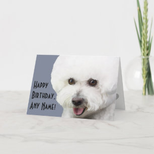 Carte Bichon Frise Illustrated Birthday
