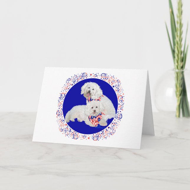 Carte Bichon Frise Rouge Blanc Bleu (Devant)