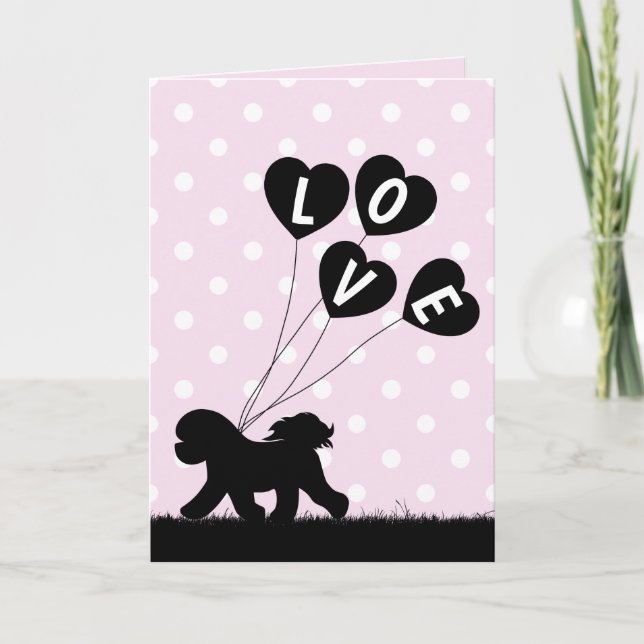 Carte Bichon Frise Saint-Valentin (Devant)