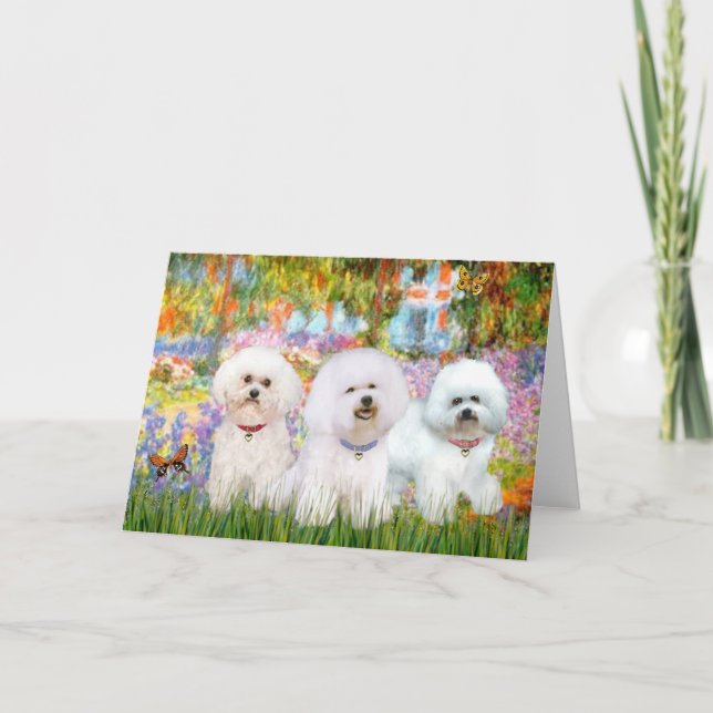 Carte Bichon Frise Trio - Jardin (VG) (Devant)
