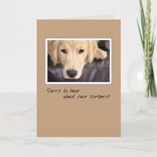 Carte Bien Chirurger Chien, Golden Retriever (Devant)