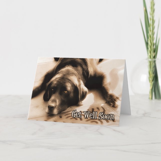 Carte Bien Chocoler Labrador Retriever Chien (Devant)