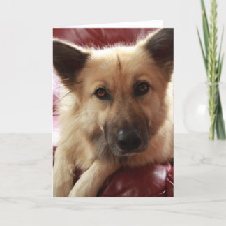 Carte Bien Doggy