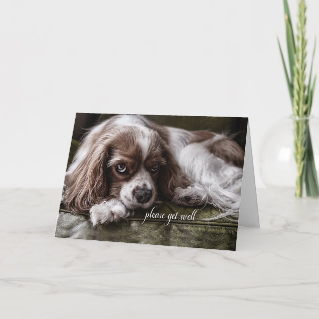 Carte Bien vite Cocker Spaniel Dog sur un canapé (Devant)