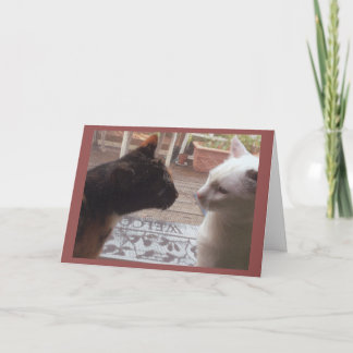 Carte Bienvenue aux chats