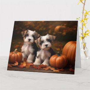 Carte Biewer Terrier Chiot Automne Citrouille délice