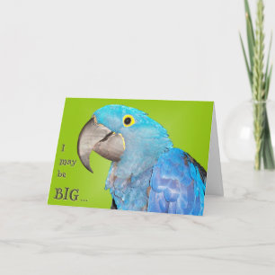 Carte Big and loveable