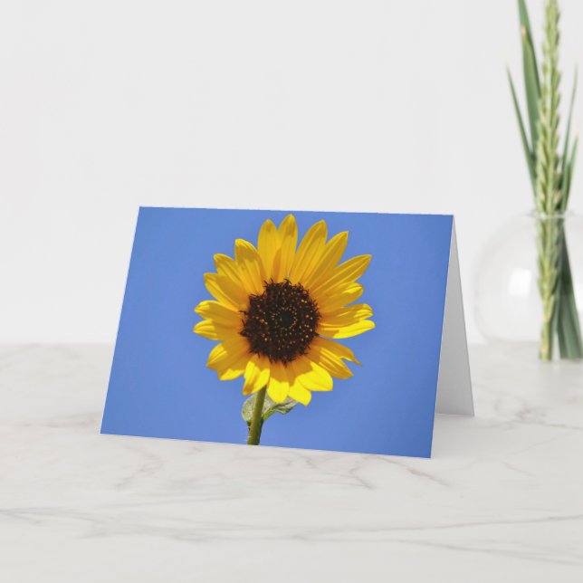 Carte Big Blue Sky et Wild Sunflower Note Card (Devant)