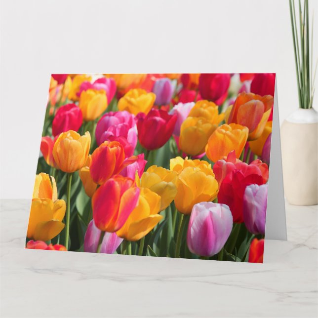 Carte Big Card Spring (Devant)