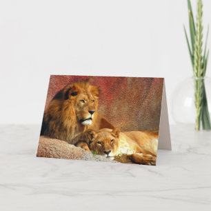 Carte Big Cats Set - 6