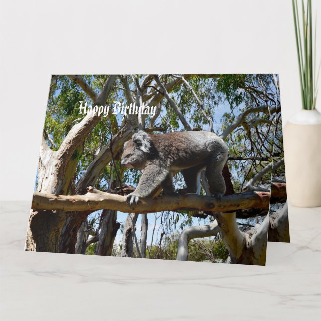 Carte Big Homme Koala Oear Tightrope Walker, Big Birday (Devant)