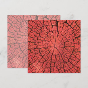 Carte Bille de bois séchée Coupe transversale Bois rouge