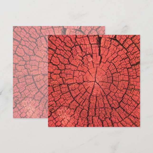 Carte Bille de bois séchée Coupe transversale Bois rouge (Devant / Derrière)