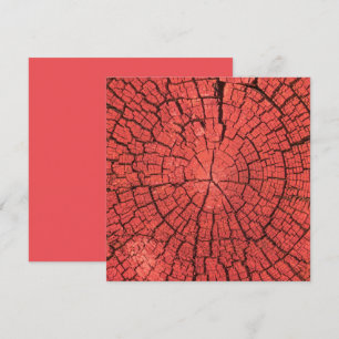 Carte Bille de bois séchée coupe transversale bois rouge