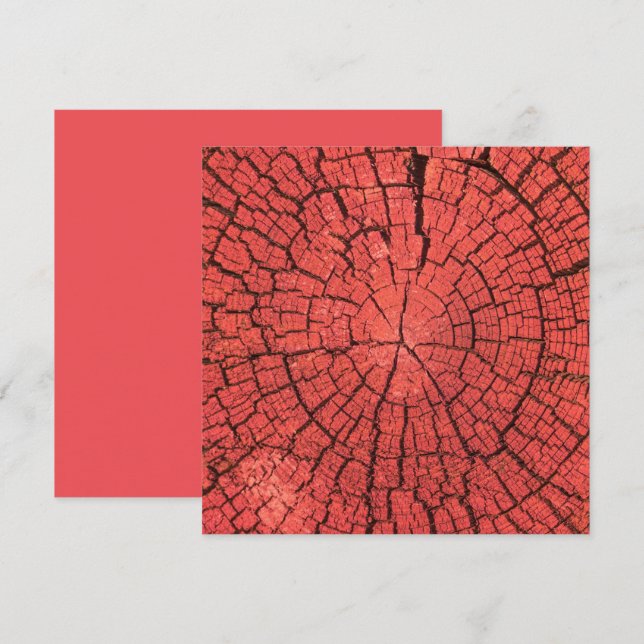 Carte Bille de bois séchée coupe transversale bois rouge (Devant / Derrière)