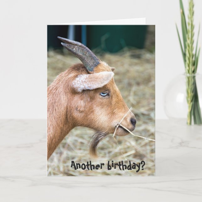 Carte billy goat birthday (Devant)