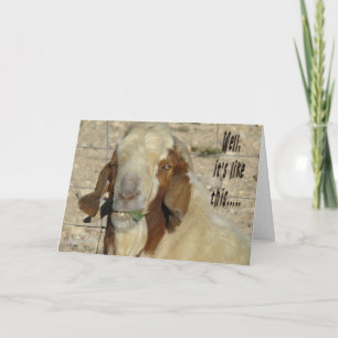 Carte Billy Goat Card- pour toute occasion