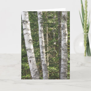 Carte Birch Tree Greeting Card