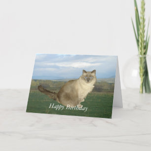 Carte Birman Cat Anniversaire
