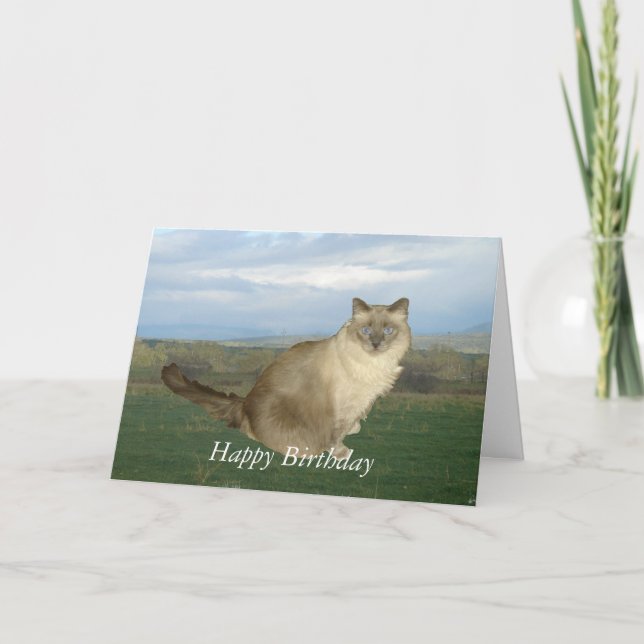 Carte Birman Cat Anniversaire (Devant)