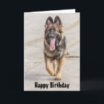 Carte Birthday<br><div class="desc">Happy Birthday card featuring a photograph of a German Shepherd Dog Alsatian trotting happily along a sandy beach.</div>