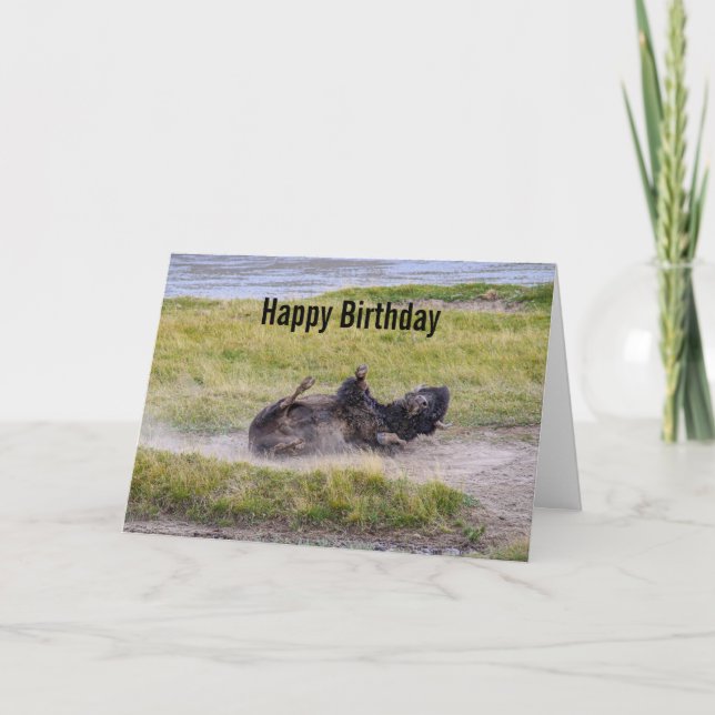 Carte Birthday Bison Wallowing Yellowstone National Park (Devant)