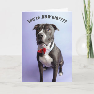 Carte Birthday card