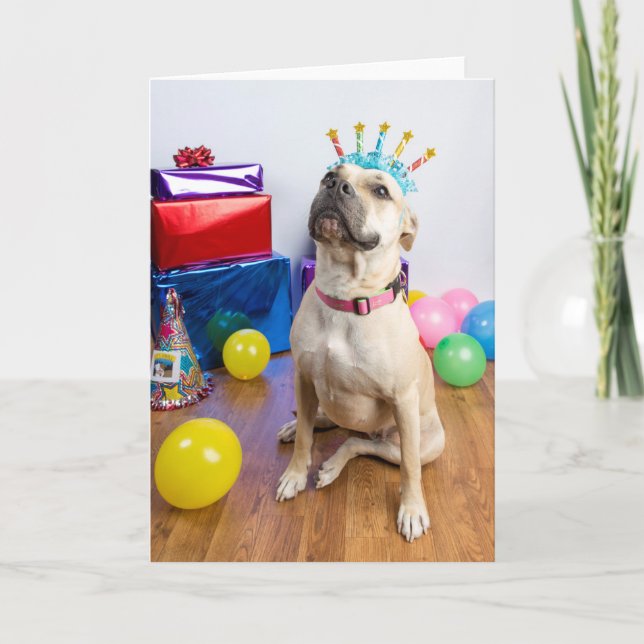 Carte Birthday card (Devant)