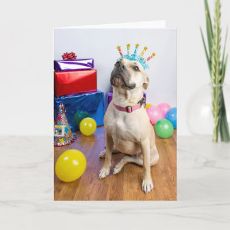Carte Birthday card