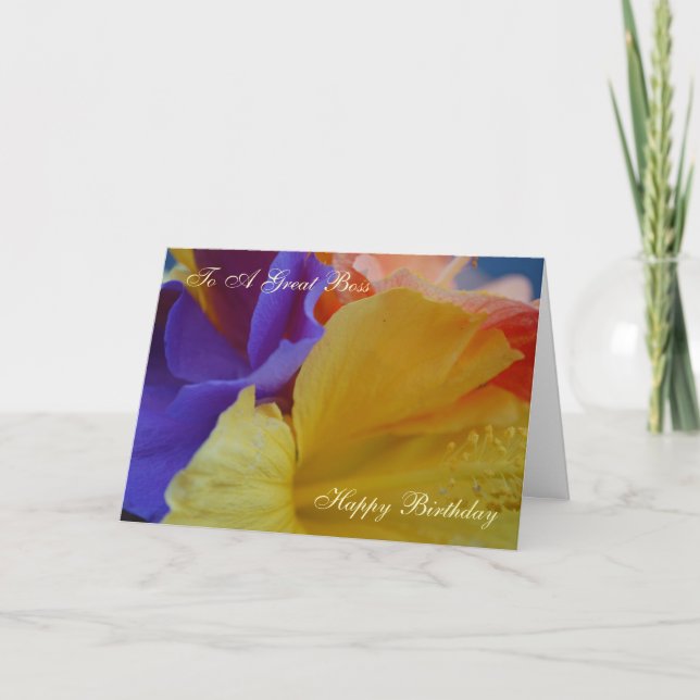 Carte Birthday Card (Devant)